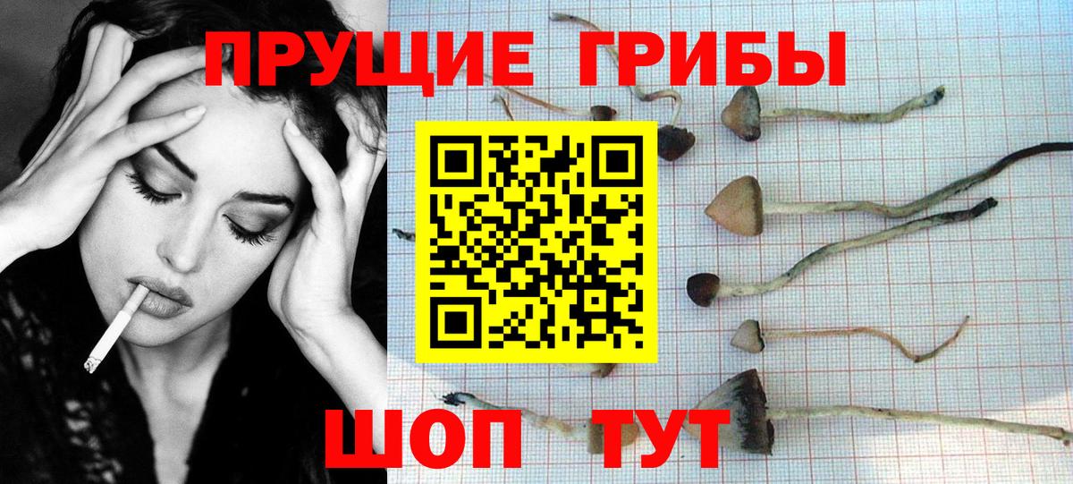 Бийск  Галлюциногенные грибы GOLDEN TEACHER  Вход с VPN 