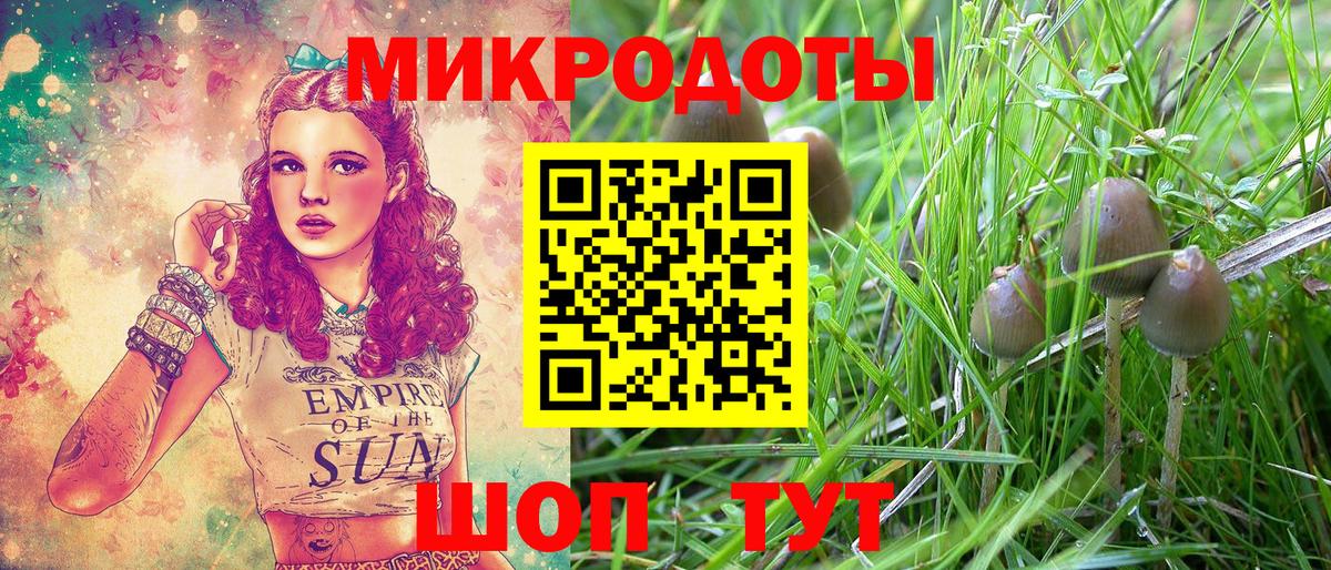 Псилоцибиновые грибы Cubensis Бийск